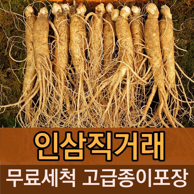 풍기인삼청년 5년근 6년근 수삼 500g 무료세척 고급종이포장, 1개, [세척](대)5~7뿌리 500g