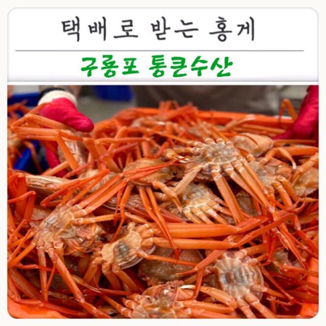 [구룡포 통큰수산] 다리 수율 7~80%이상 B품 연지홍게 4kg (16~20미) 찜발송 자숙 산지직송 당일조업 라면용 육수용 파지 당일발송 또는 순차배송 포항 홍게 가성비, 16~20마리, 연지홍게 B품 4kg