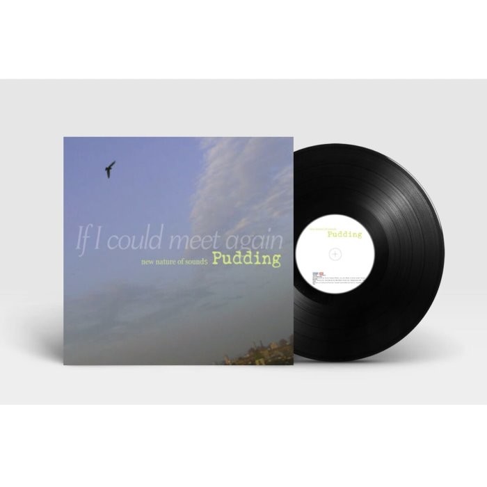 [LP] 푸딩 (Pudding) - If I Could Meet Again [2LP] : 푸디토리움 김정범 소속 팝 재즈 그룹 데뷔작, Warner Music, 음반/DVD