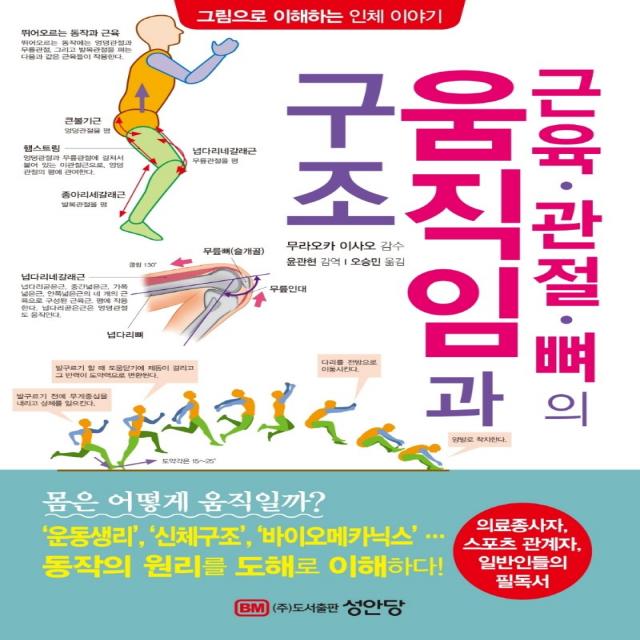 근육·관절·뼈의 움직임과 구조:의료종사자, 스포츠 관계자, 일반인들의 필독서, 성안당, 무라오카 이사오