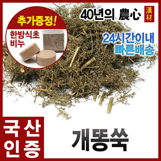 자애인 국산 개똥쑥 600g 개똥쑥차 건조 경북영천, 단품