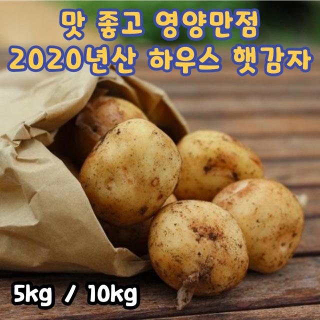 엄마표밥상 국내산 몸에 좋은 맛있는 신선한 쪄먹는 남자 여자 다이어트 몸매 식단 관리 부모님 선물 강원도 못난이 수미 하우스 2020 햇 감자 5kg 10kg, 1박스