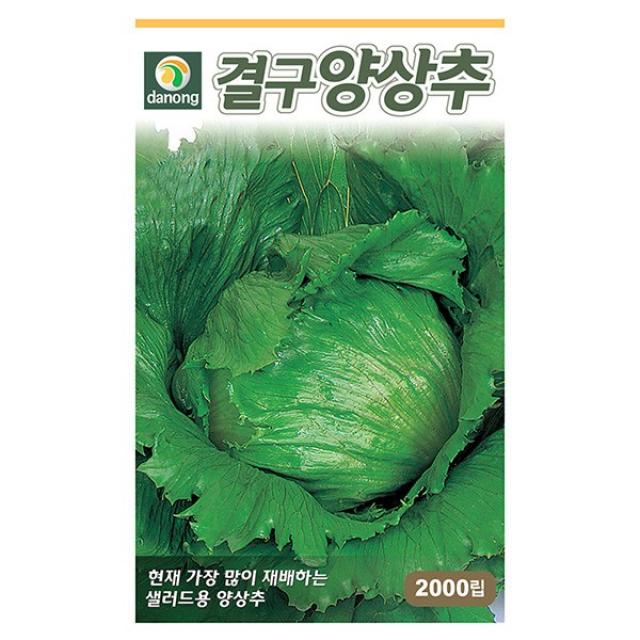 청로메인 상추 씨앗 2000립 - 상추씨앗 상추씨 청치마 쌈채소 야채씨앗 채소씨앗 채소재배 종묘 종자 베란다 텃밭 씨 씨앗, 03_다농_결구 양상추(2000립)