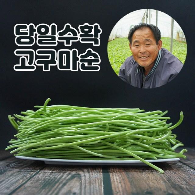 미스터팜팜 당일채취 이영만 생고구마순 고구마줄기 1kg 2kg 옵션선택 잎만제거, 1개, 생고구마순 1kg