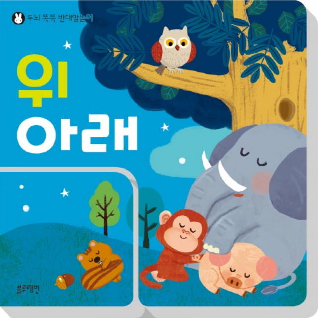 위 아래:두뇌 똑똑 반대말놀이, 블루래빗