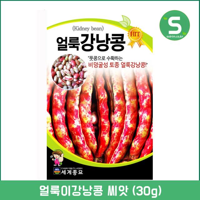 솔림텃밭몰 강낭콩씨앗 30g 얼룩이강낭콩 콩씨앗 콩종자 비덩굴성