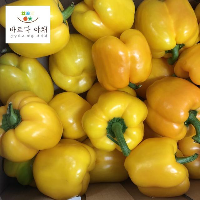바르다야채 노랑파프리카 특 1kg 3kg 5kg