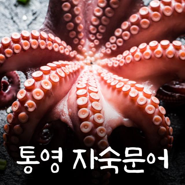 항구의남자들 돌문어 명절 활문어 데친문어 자숙문어 제수용 생물 문어