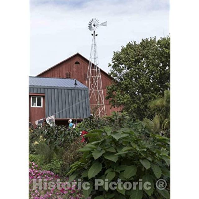 EOM 사진-1983 년 오하이오 중부의 월넛 크릭 근처에서 방문객을 수용하기 시작한 정통 아미쉬 농장 인 Yoder [16in x 24in] - E005808HKSHWC95, 16in x 24in