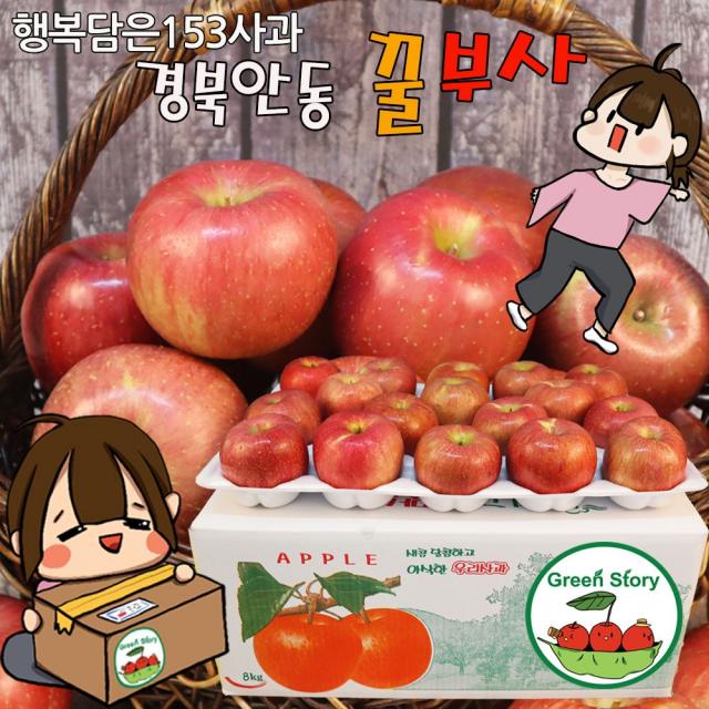 [행복담은153사과] 꿀부사5kg 8kg 10kg 맛좋은 경북안동 꿀부사사과, 1box, 8kg꿀부사_특대과(20~23과전후)