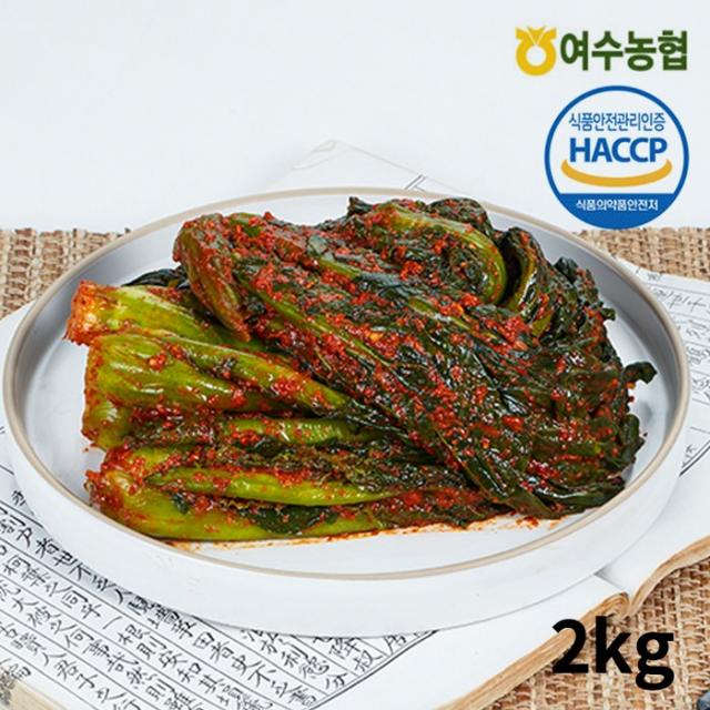 여수농협 한정할인 행사!!여수돌산 갓김치 2kg 국내산 100% 단품