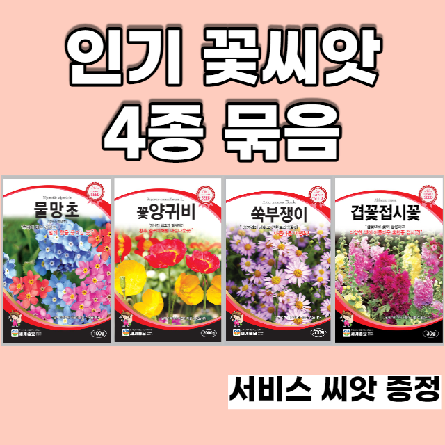 인기꽃씨앗 4종 묶음 양귀비 물망초 쑥부쟁이 겹접시꽃, 1set