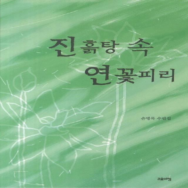 진흙탕 속 연꽃피리, 고요아침