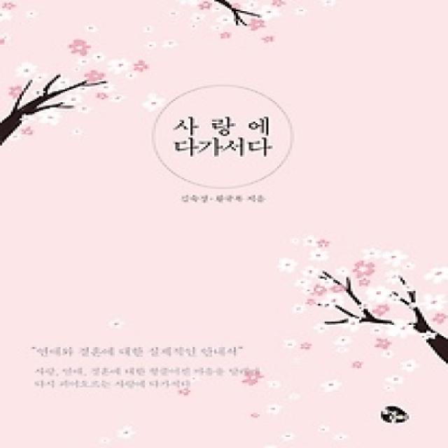 [개똥이네][중고-상] 사랑에 다가서다