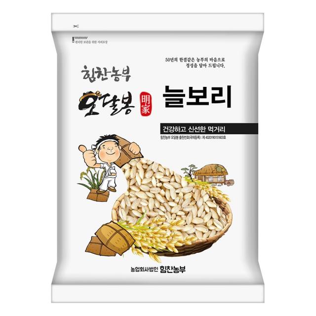 힘찬농부오달봉 2021년 햇 늘보리 국내산 1포 10kg 5kg+5kg 