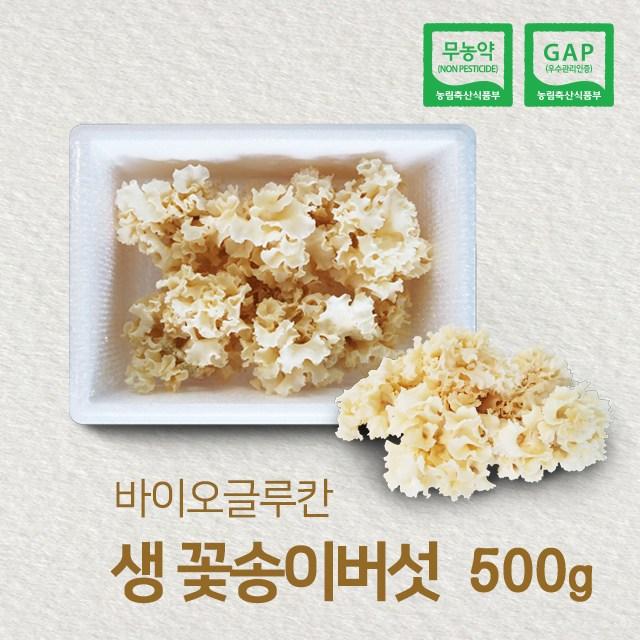 바이오글루칸 국내산 무농약 생꽃송이버섯 500g 주문당일 수확 1개