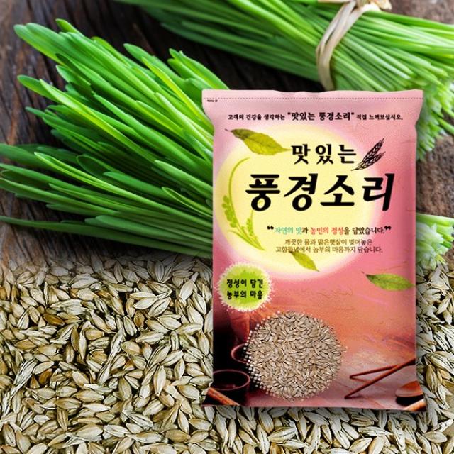 현대농산 새싹보리 씨앗 겉보리쌀 4kg, 1개