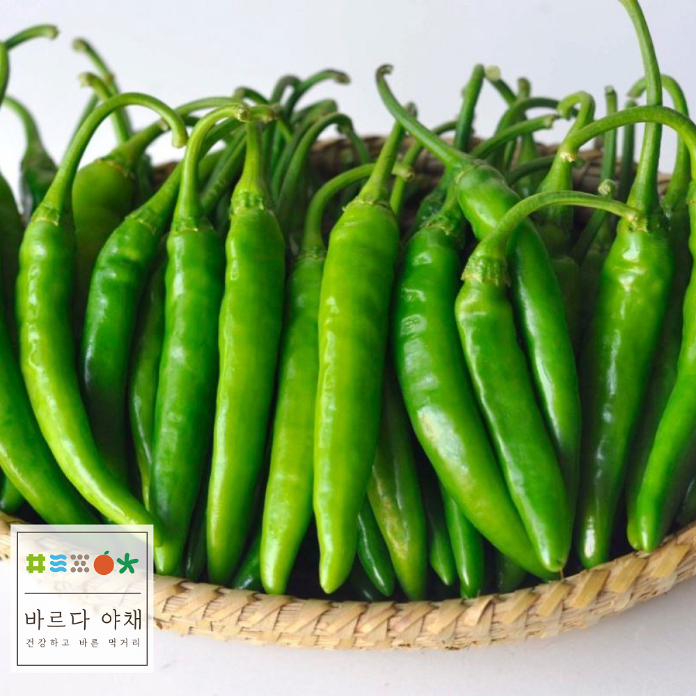 바르다야채 국내산 청양고추(상) 10kg(1박스) 10kg(1박스),매운고추, 1개