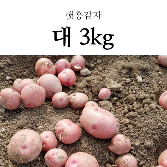 국내산 포슬포슬 햇 감자 햇감자 수미감자 홍감자 3kg, 1box, 햇 홍감자 대 3kg