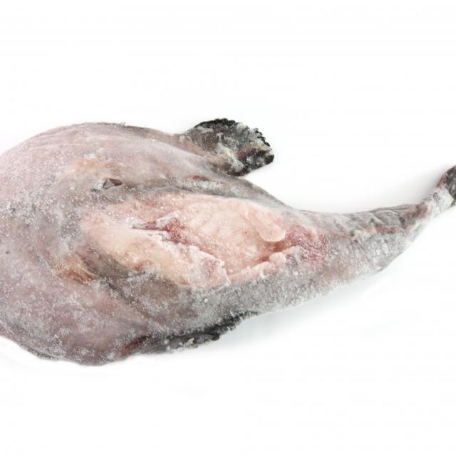 통아귀 10kg / 20kg 업체용 식당용 업소용