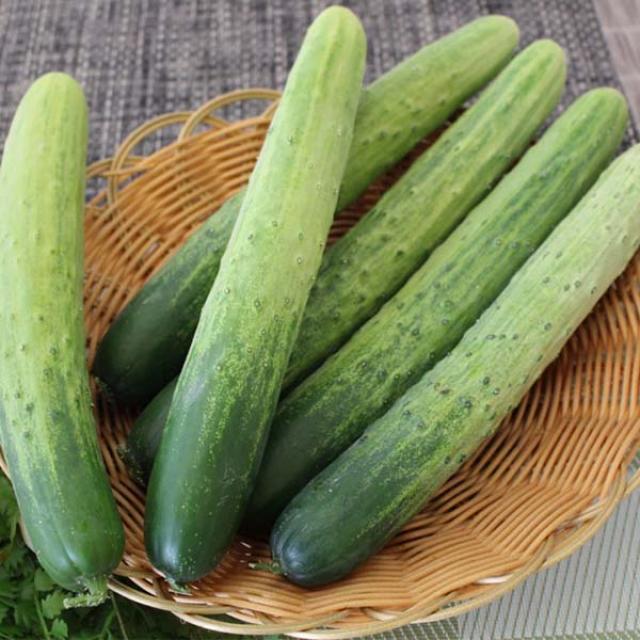 백오이(상) 백다다기 1kg/3kg/5kg 자연대로팜웨이, 백오이(상)1kg