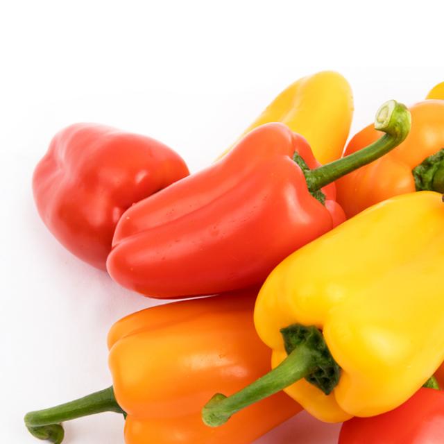 자체브랜드 [도곡팜]국내산 미니 파프리카 500g (250g x 2팩)