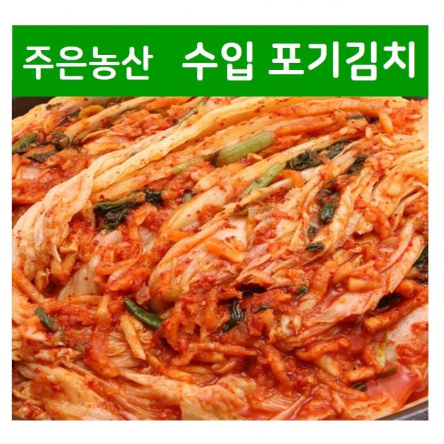 [수입김치] 가락시장 김치전문점 주은농산 업소용 CJ지도생산 농촌 포기김치 10kg (무료배송)