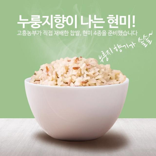 진도장모와서울큰사위 누룽지향 햇현미 찰현미 저아밀로스 특수쌀 모음 [19년산 고흥], 1개, 누룽지향 현미 1kg