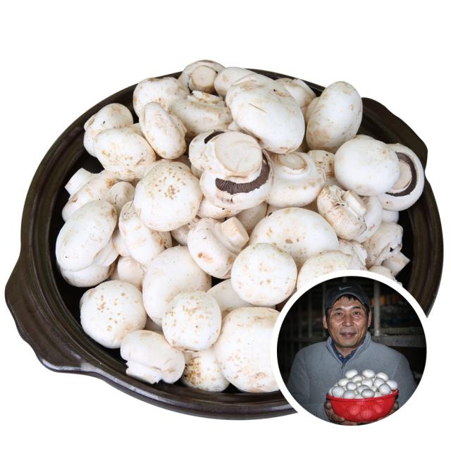 우리네농산물 못난이 양송이 버섯 2kg 부여 산지직송 ugly white button mushroom, 1box