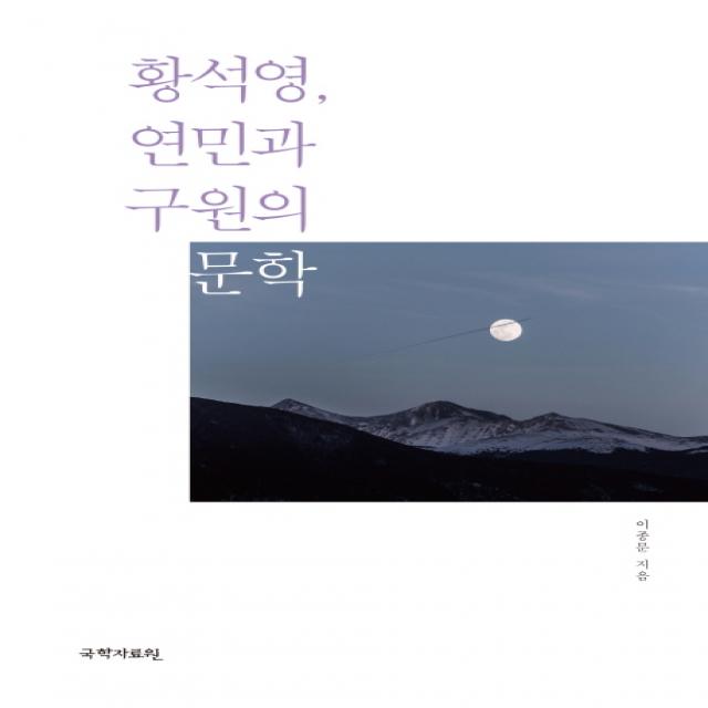 황석영 연민과 구원의 문학, 국학자료원