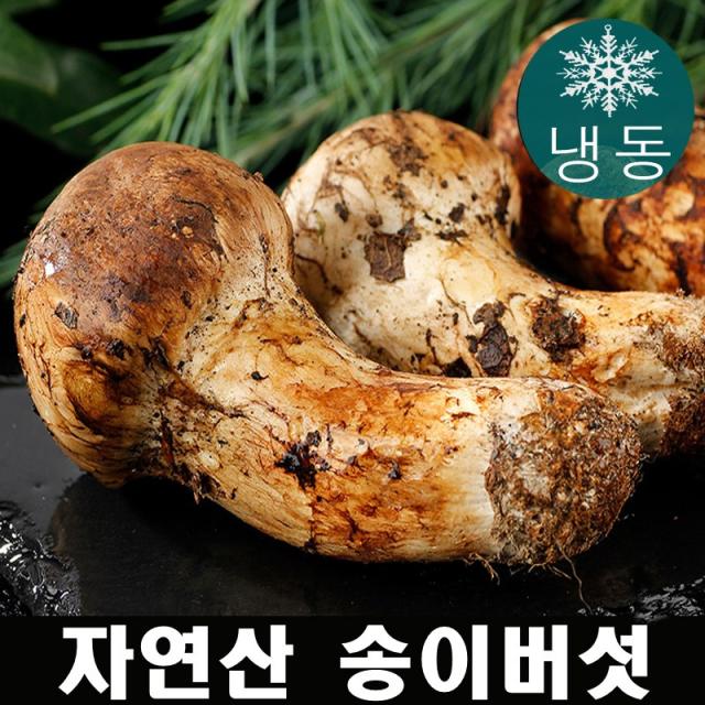 진심좋은 자연산 냉동 송이 버섯 자연 송이버섯, 1box, 2L 500g