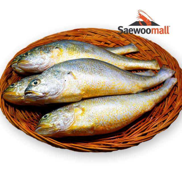 새우몰 부세조기 1박스 3.3kg(12미내외)