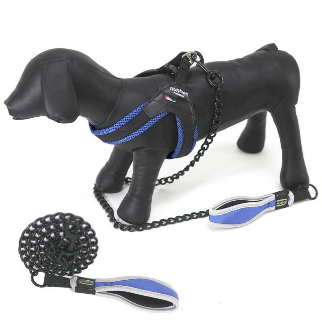 주식회사가리온 NUNBELL 강아지 강철 리드줄 강아지목줄, (블루)(소), 1개