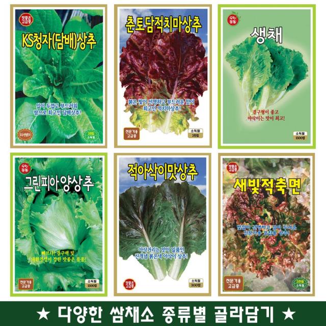 텃밭채소/쌈채소/상추/채소씨앗 모음전, KS루꼴라(로켓샐러드)씨앗 3000립