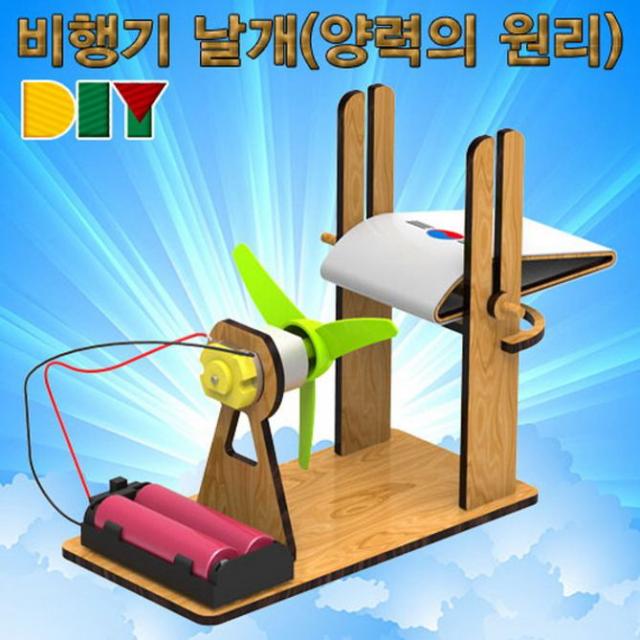 DIY 비행기 날개로 양력의 원리 알아보기, 단일상품