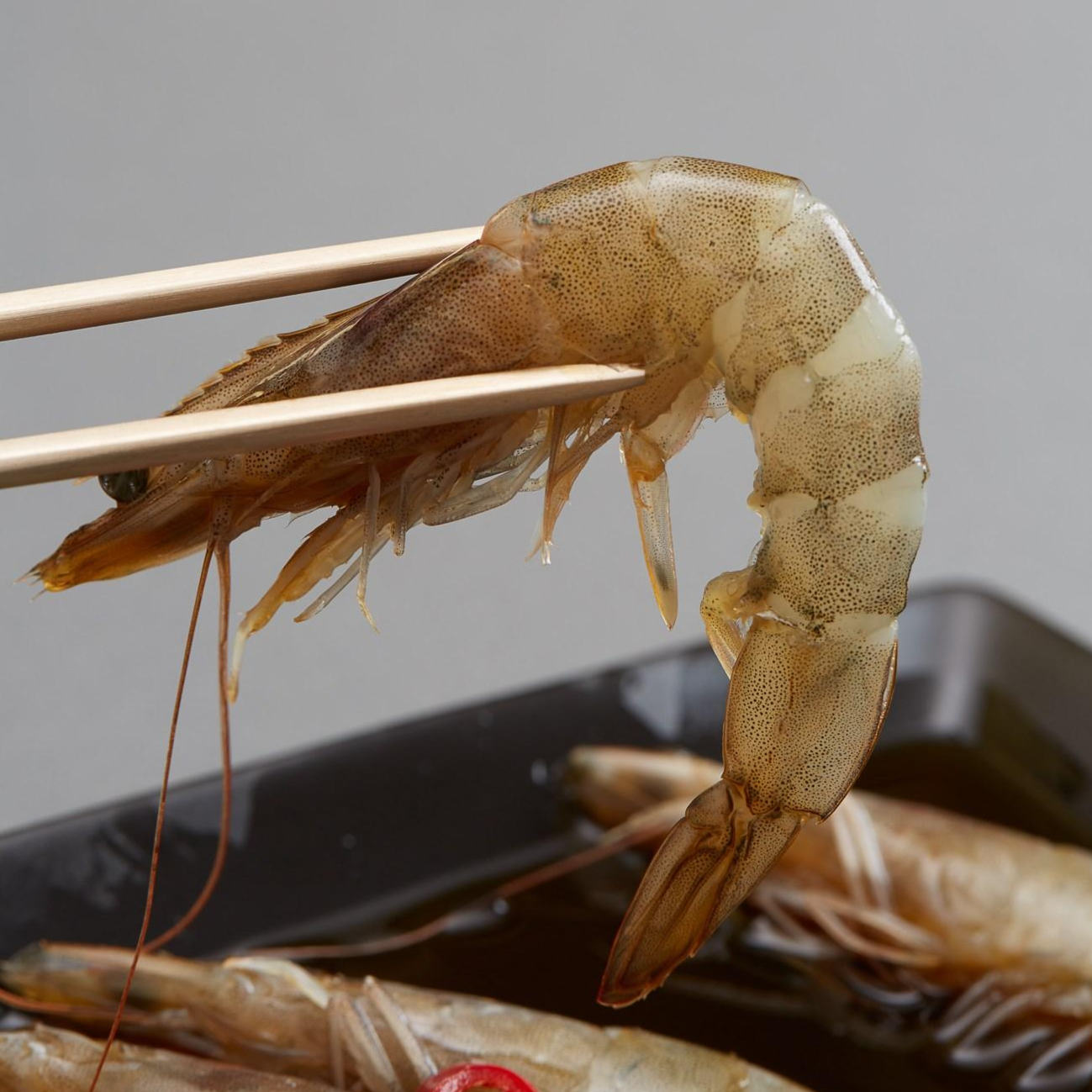 [정세미간장게장] 매스컴이 극찬한 명품맛집 직접끓여 건강한 맛 간장새우장, 간장새우장 30마리