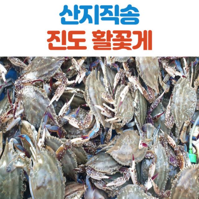 산지직송 진도 활꽃게 1kg 2kg 활꽃게_1kg