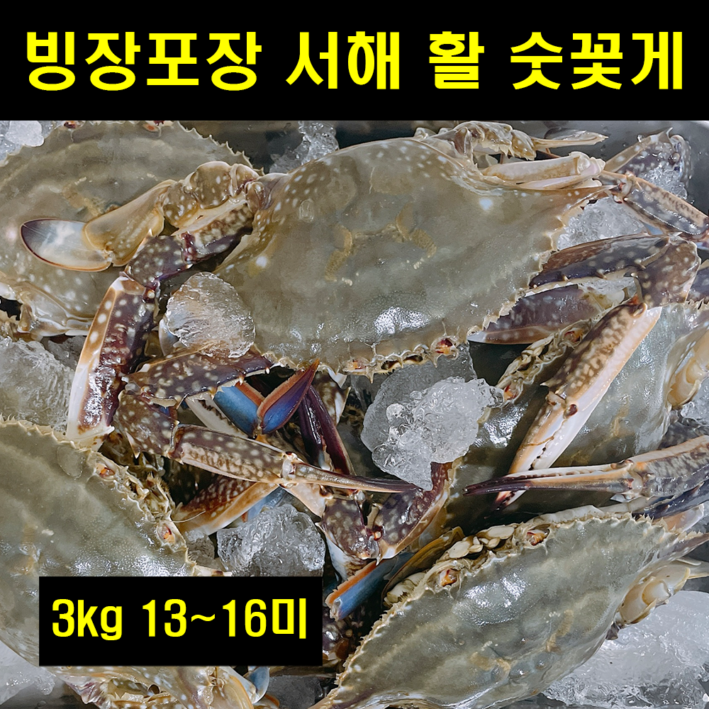 서해 숫꽃게 국산 빙장 가을 활꽃게 서해안 생물 국내산 꽃게찜 꽃개 3kg 13~16미 당일조업 꽂게 꽂개 숫게