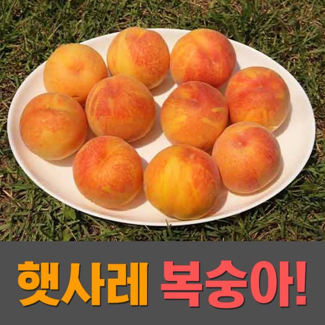 2022 산지직송 장호원 햇사레 복숭아 백도 황도복숭아 3kg 4kg, 황도복숭아 3kg 11-12과