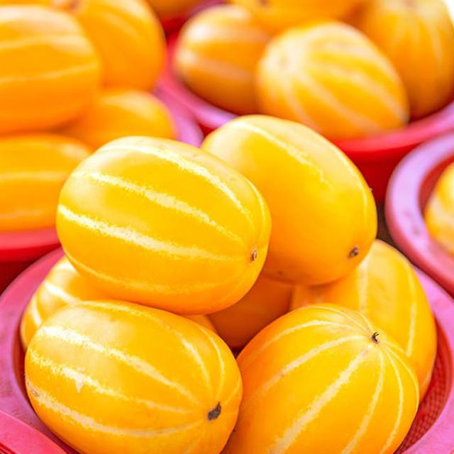 영화농산 특급 참외 10kg 성주 가격 농장 맛있는 약목 개구리 못난이참외 쇼핑몰 꿀참외 시세 게르마늄 농장 꼬마 판매 고르는법 재배 묘목 나무 공동 선별 직거래 농장 공판장 제철