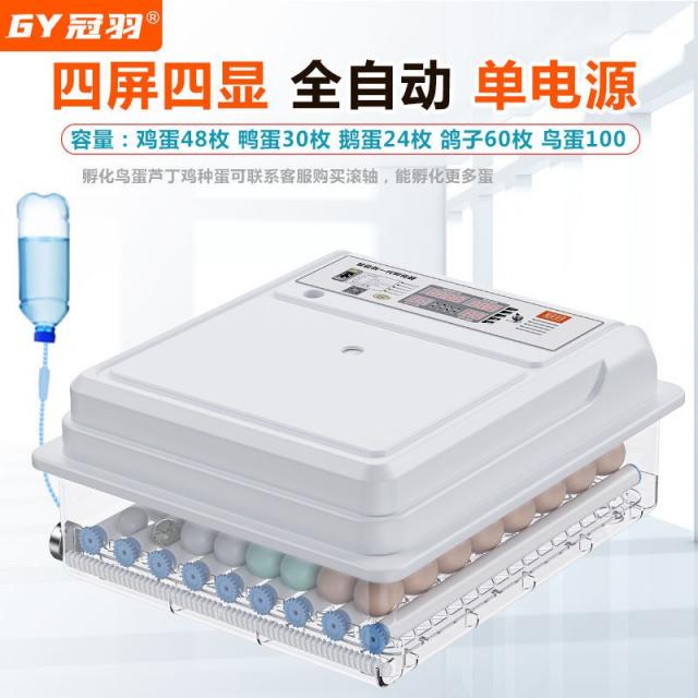 소형 미니 자동 스마트 가정용 상자 병아리 비둘기 계란부화기 4850813988, 48 매 단전 (자동 알을 깨다 _선