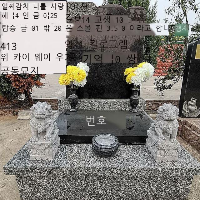 Fuhe 공동묘지 한백옥석 사자향로 꽃병 봉안 조상 무덤 장식 세트 용품 진열품 한백옥 일품 조합 소형(소형 공동묘지에 적합), 청석 일품 조합 중형(일반 공동묘지)