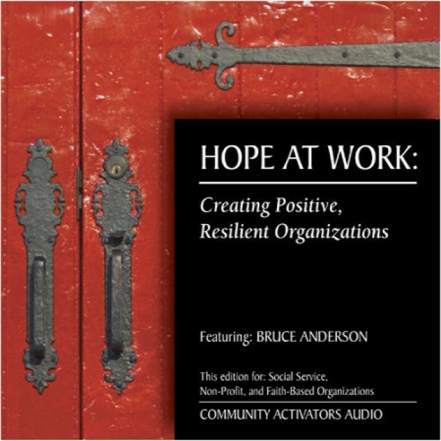 Hope at Work: Creating Positive Resilient Organizations 직장에서의 희망 : 긍정적이고 탄력적 인 조직 만들기, 1