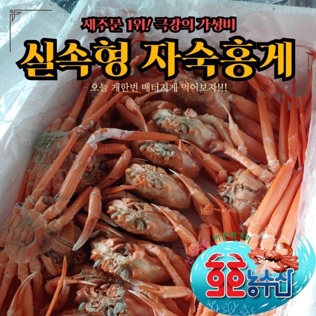 호호농수산 자숙 연지홍게 찜 실속형 3kg B급 10마리 포항 영덕 주문진 대게 시세 산지직송 선주직송 라면용 게 다리 수율 60-~70%