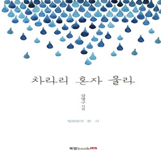 차라리 혼자 울라:강병구 시집 | 일하면서 쓴 시 북랩
