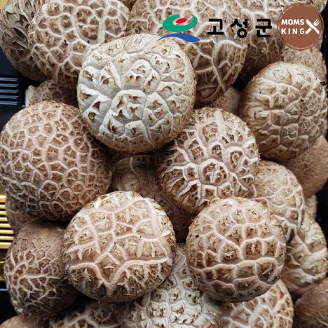 [공룡나라]고성 웅이표고농장 생표고버섯(생표고 하품1kg), 단품