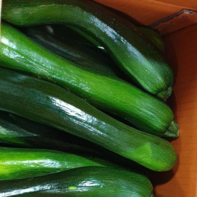 백산상회 쥬키니호박, 1박스, 10kg(못난이)