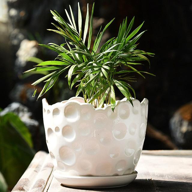 어반30 엔틱 다육이 도자기 화분 심플가정대호 특대호 특가 창고대, 만신창이 화분