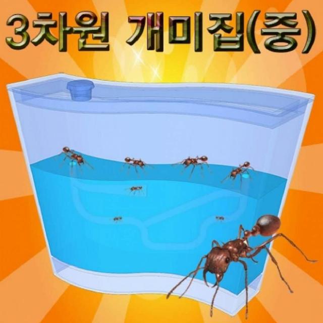 엔젤스베베 2개묶음 향앤미과학 3차원 개미집 중 생물실험세트