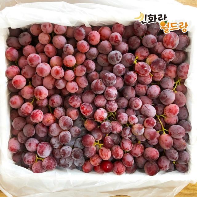 [신화랑월드랑] 호주산 레드글로브(거봉포도) 벌크 9kg, 1박스, 호주산 레드글로브(거봉포도)9kg